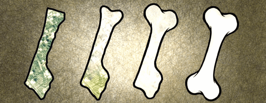 نداء غزة الأخير من قلب الجحيم: باقون حتى آخر حجرٍ فيها